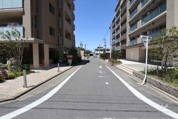敷地西側の前面道路（南側から）