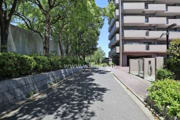 敷地西側の前面道路。西側には小幡緑地が広がっています。
