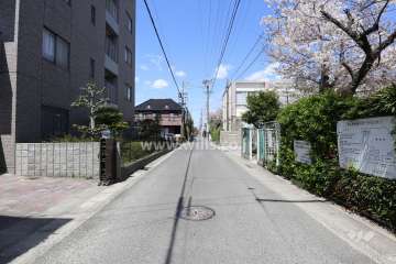 敷地東側の前面道路（南側から）