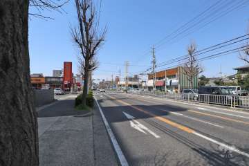 敷地北側の前面道路（東側から）