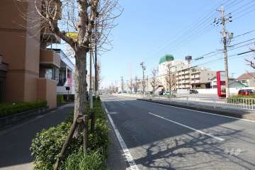 敷地の北側前面道路（東側から）