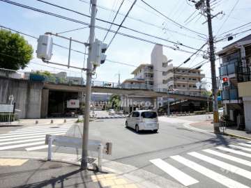 敷地北東側は高低差です。