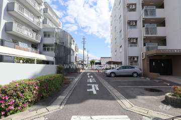 敷地西側の前面道路（北側から）
