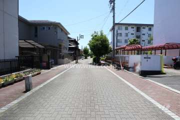敷地東側の前面道路（北側から）