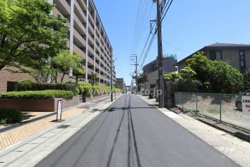 敷地南側の前面道路（西側から）