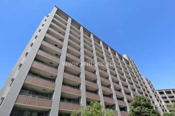 パークシティ ザ・ウィングス西棟の外観（南西側から）