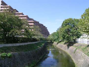 敷地の東側には山田川が流れています。