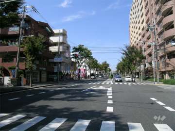 敷地の南西側は4車線のバス通りに面しています。