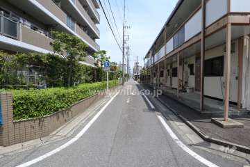 敷地南側の前面道路（西側から）