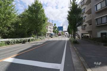 敷地東側の前面道路（北側から）