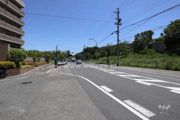 敷地南側の前面道路（西側から）