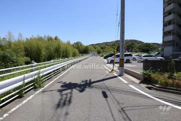 敷地北側の前面道路（西側から）