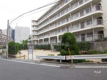マンション北側には隣接して公園があります。