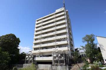 ソフィスティ城土