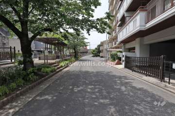 敷地南側の前面道路（東側から）