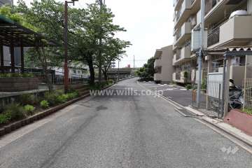 敷地南側の前面道路（東側から）