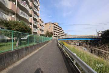 敷地南側の前面道路（南西側から）