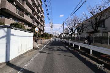 敷地南側の前面道路（西側から）