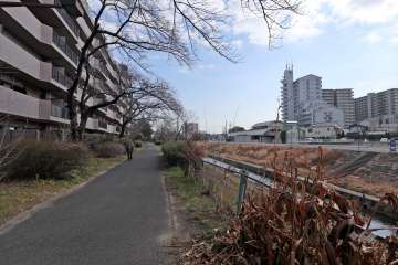 敷地南側の前面道路
