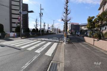 敷地北側の前面道路（東側から）
