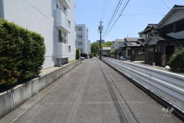 敷地西側の前面道路（北側から）