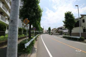 敷地の南側前面道路(西側から)