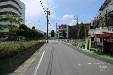 敷地の西側前面道路(北側から)