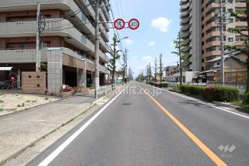 敷地南側の前面道路。二車線のバス通りです。