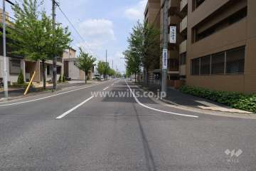 敷地北側の前面道路（西側から）