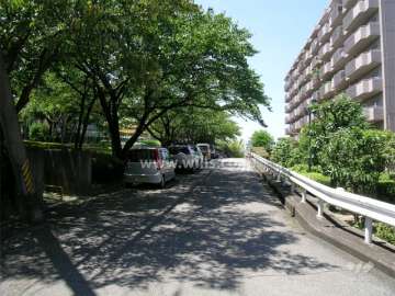 C棟の南側の前面道路