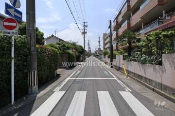 敷地の南側前面道路（東側から）