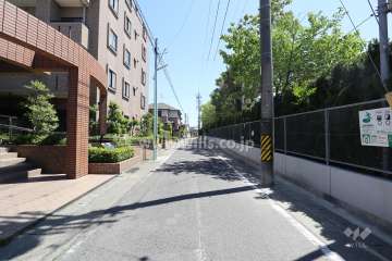 敷地西側の前面道路（北側から）