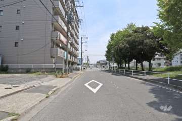 敷地南側の前面道路。川田公園に面しています。