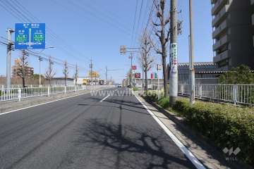 敷地北側の前面道路（東側から）