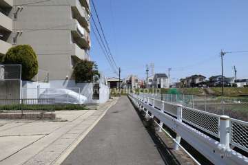 敷地南側の前面道路（西側から）