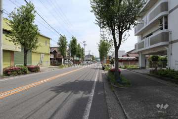 敷地北側の前面道路（西側から）