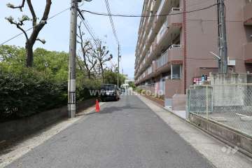 敷地南西側の前面道路（南東側から）