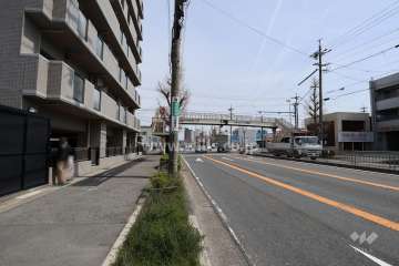 敷地南側の前面道路（西側から）