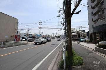 敷地東側の前面道路（北側から）