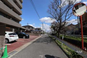 敷地の南側前面道路（西側から）