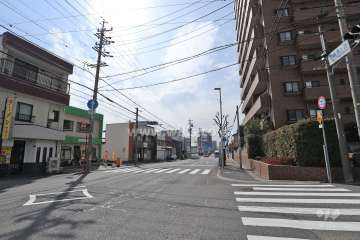 敷地の南東側前面道路（北東側から）