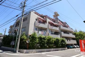 大森アイリスの外観（南西側から）