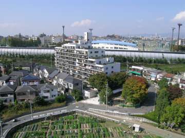 周辺は緑豊な住環境