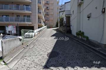 敷地南側の前面道路（西側から）