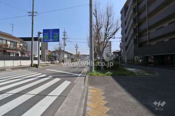 敷地の北側前面道路（西側から）