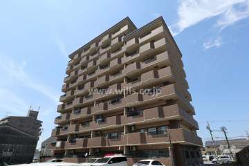 レインボー雨池の外観（南東側から）