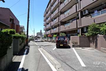 敷地南側の前面道路。周辺の道幅は狭めです。
