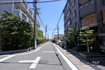敷地東側の前面道路