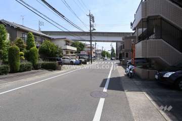 敷地北側の前面道路（西側から）