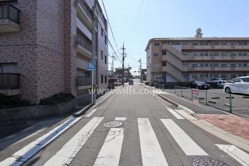 敷地西側の前面道路（北側から）